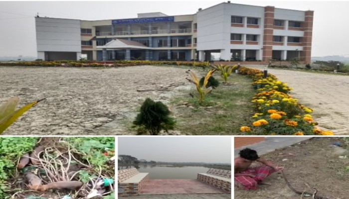 "সাপ-শিয়ালের আস্তানায় এখন ফুলবাগান" "সাপ-শিয়ালের আস্তানায় এখন ফুলবাগান"