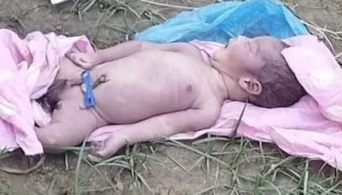 ভুট্টাক্ষেত থেকে নবজাতকের মরদেহ উদ্ধার ভুট্টাক্ষেত থেকে নবজাতকের মরদেহ উদ্ধার