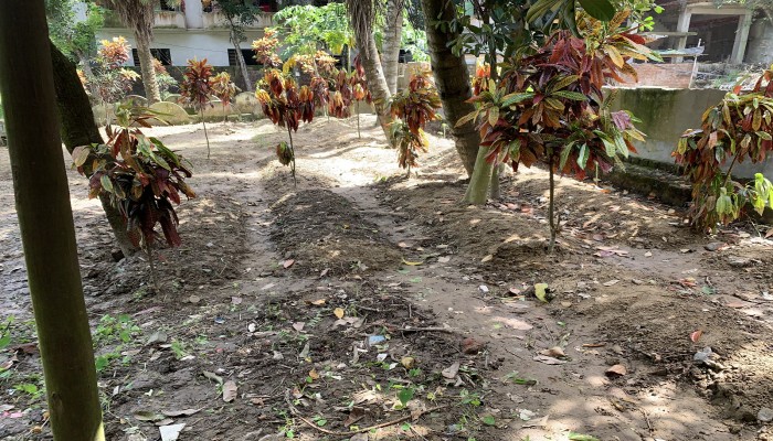 দেবীদ্বারে রহস্যময় নতুন ১৬ কবর; প্রশাসনের তদন্ত কমিটি গঠন দেবীদ্বারে রহস্যময় নতুন ১৬ কবর; প্রশাসনের তদন্ত কমিটি গঠন