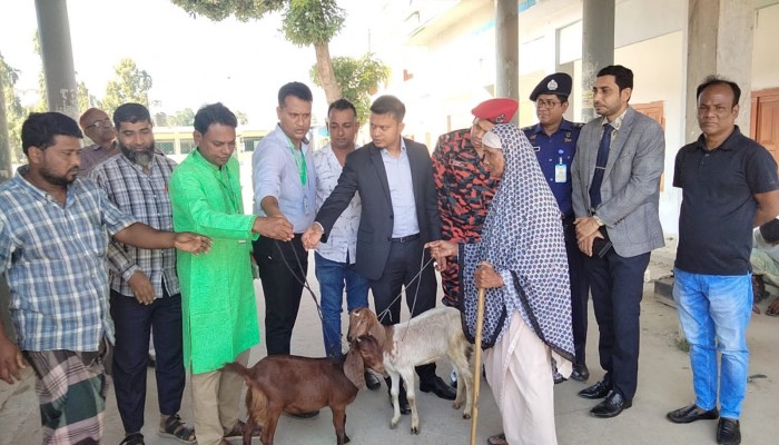 দাউদকান্দিতে নিসচা'র প্রতিষ্ঠা বার্ষিকীতে সড়ক দূর্ঘটনায় ক্ষতিগ্রস্ত পরিবারের মাঝে ছাগল প্রদান দাউদকান্দিতে নিসচা'র প্রতিষ্ঠা বার্ষিকীতে সড়ক দূর্ঘটনায় ক্ষতিগ্রস্ত পরিবারের মাঝে ছাগল প্রদান