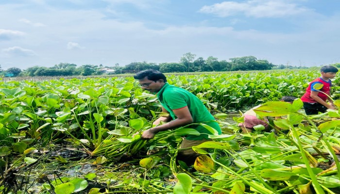 ধানসিঁড়ি সমাজ কল্যান পরিষদের উদ্যোগে জলাবদ্ধতা নিরসনে ধানুয়া খাল পরিচ্ছন্নতা অভিযান ধানসিঁড়ি সমাজ কল্যান পরিষদের উদ্যোগে জলাবদ্ধতা নিরসনে ধানুয়া খাল পরিচ্ছন্নতা অভিযান